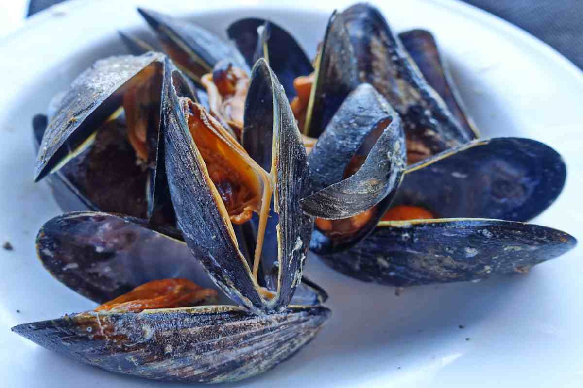 cozze