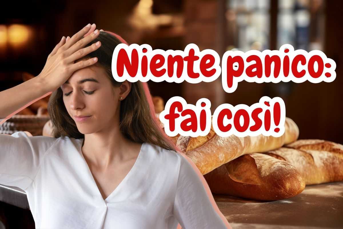 donan e pane