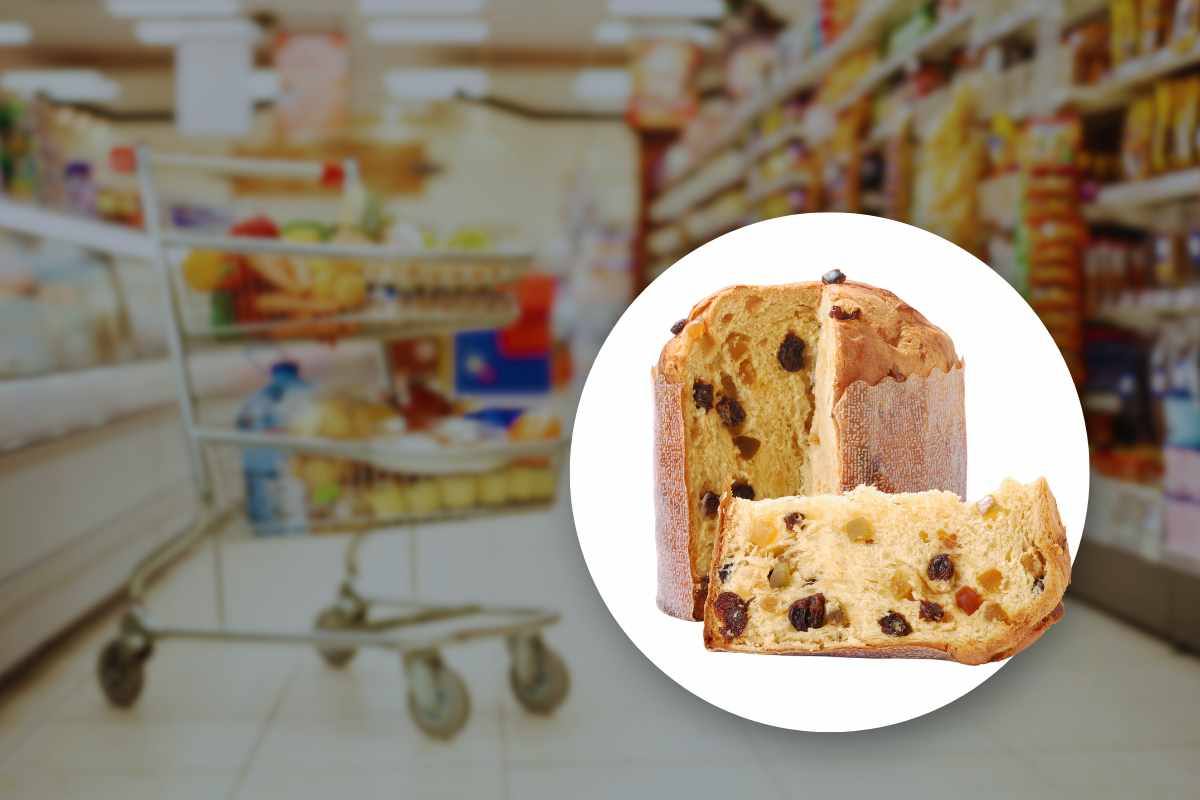 panettone