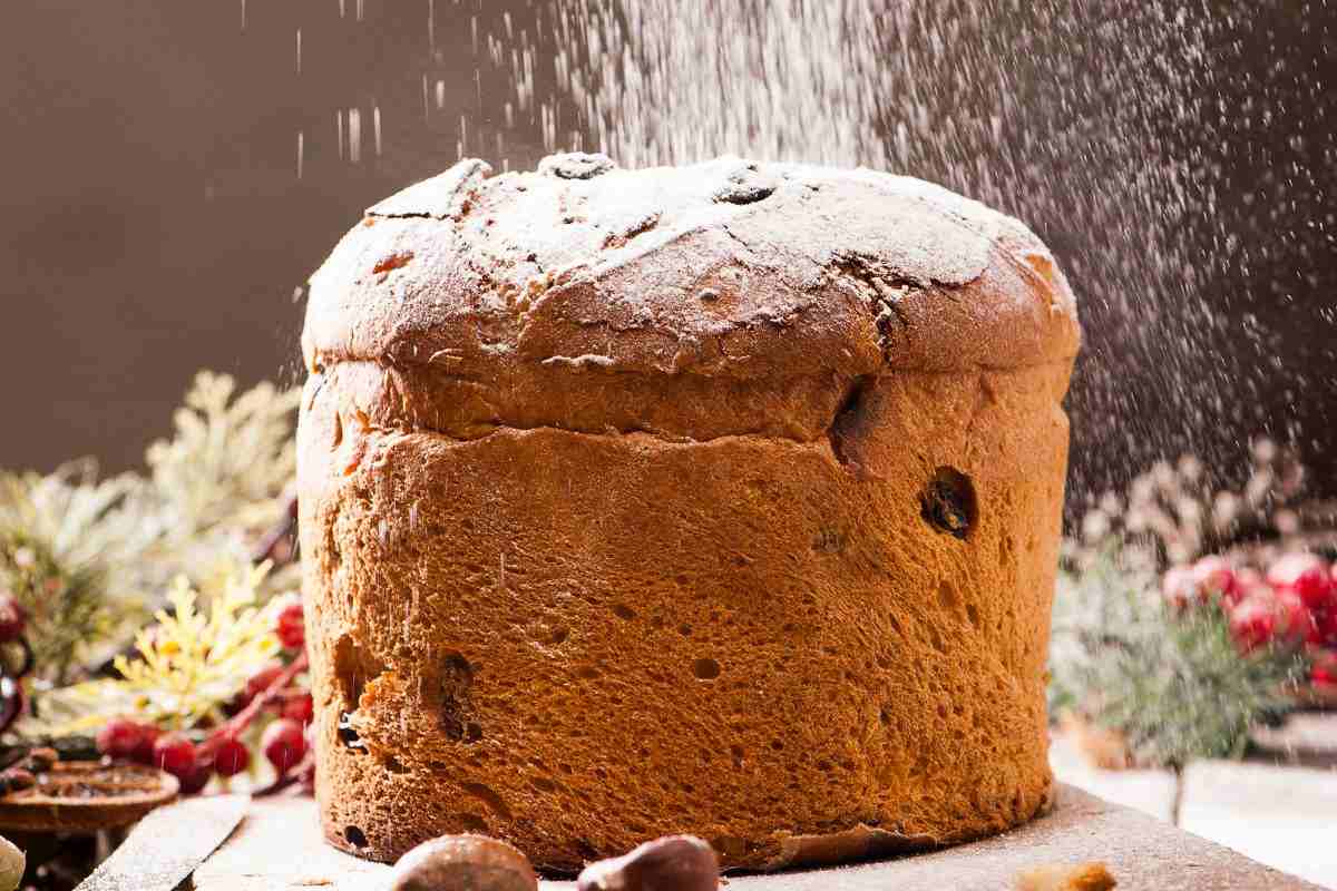 panettone