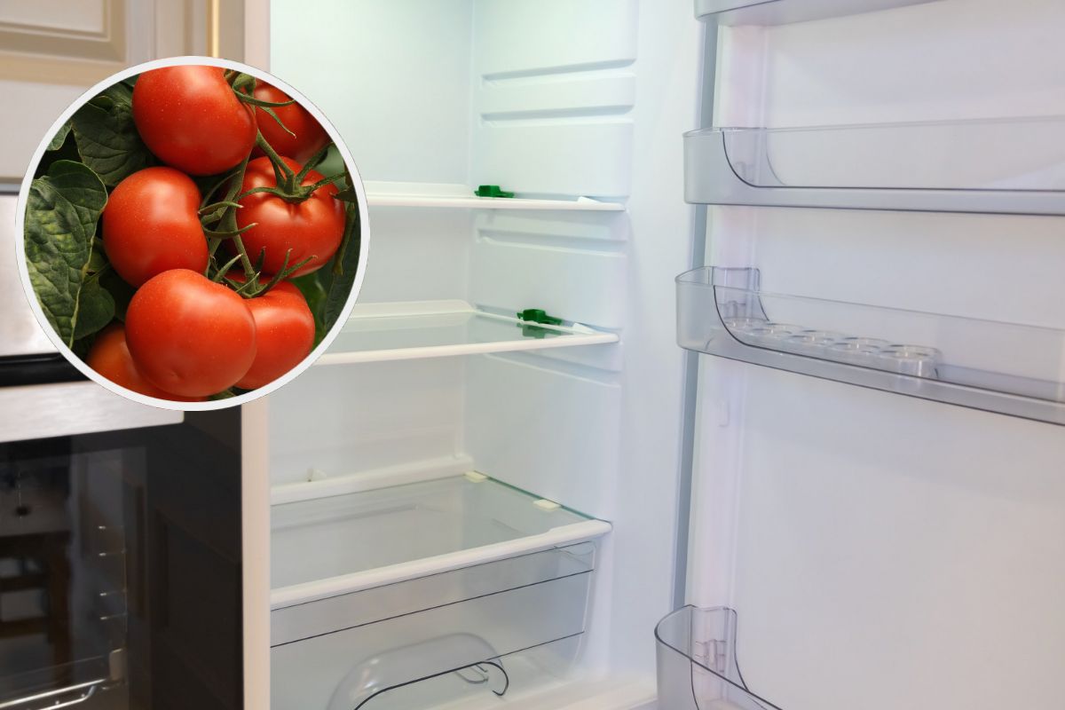 pomodori e frigo