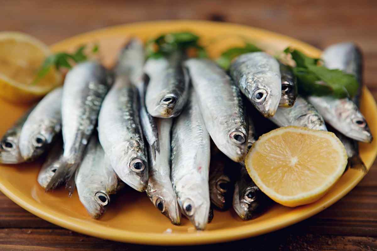 Sardine nel piatto