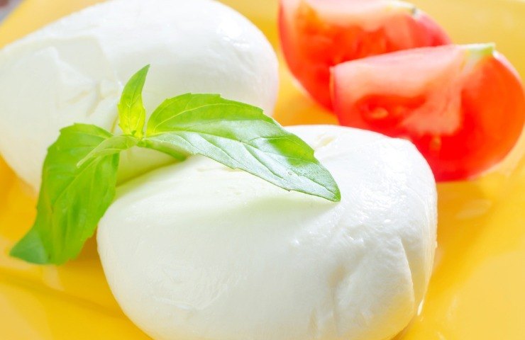 Piatto mozzarella