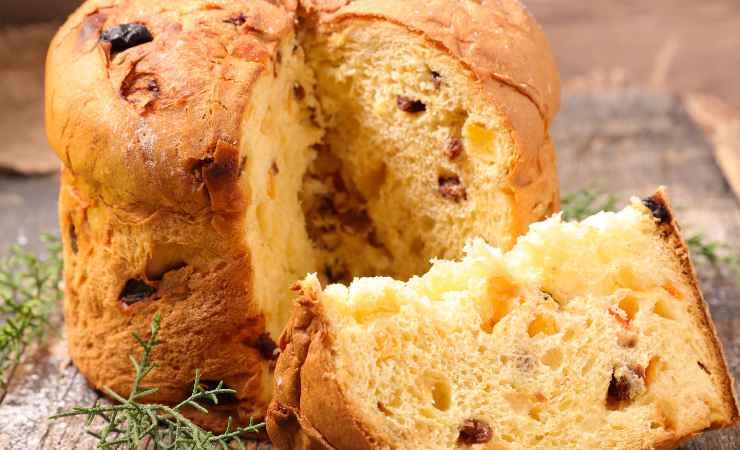 Panettone