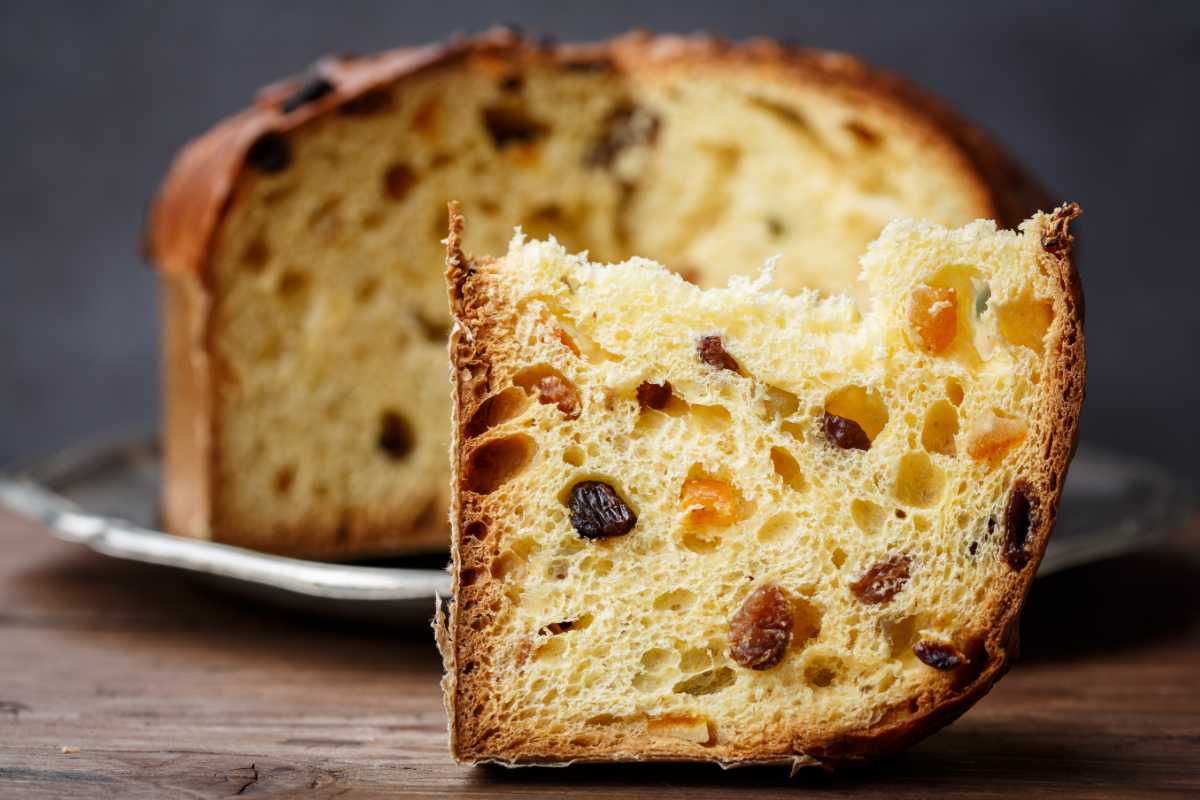 Panettone