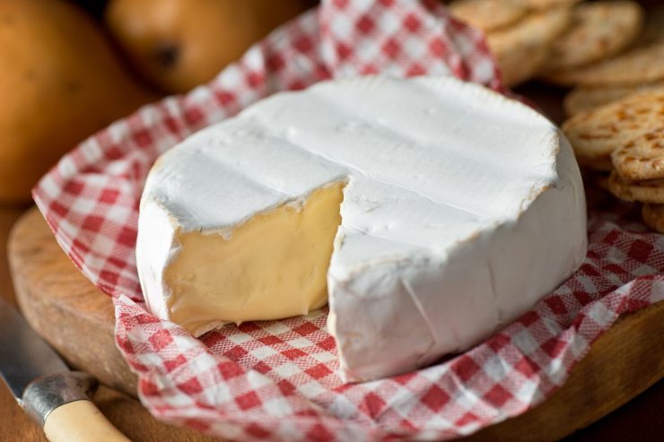 brie su tovaglietta a quadri