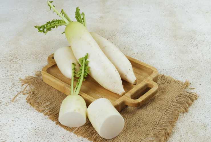 daikon