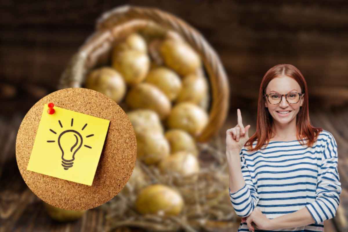 donna patate idea