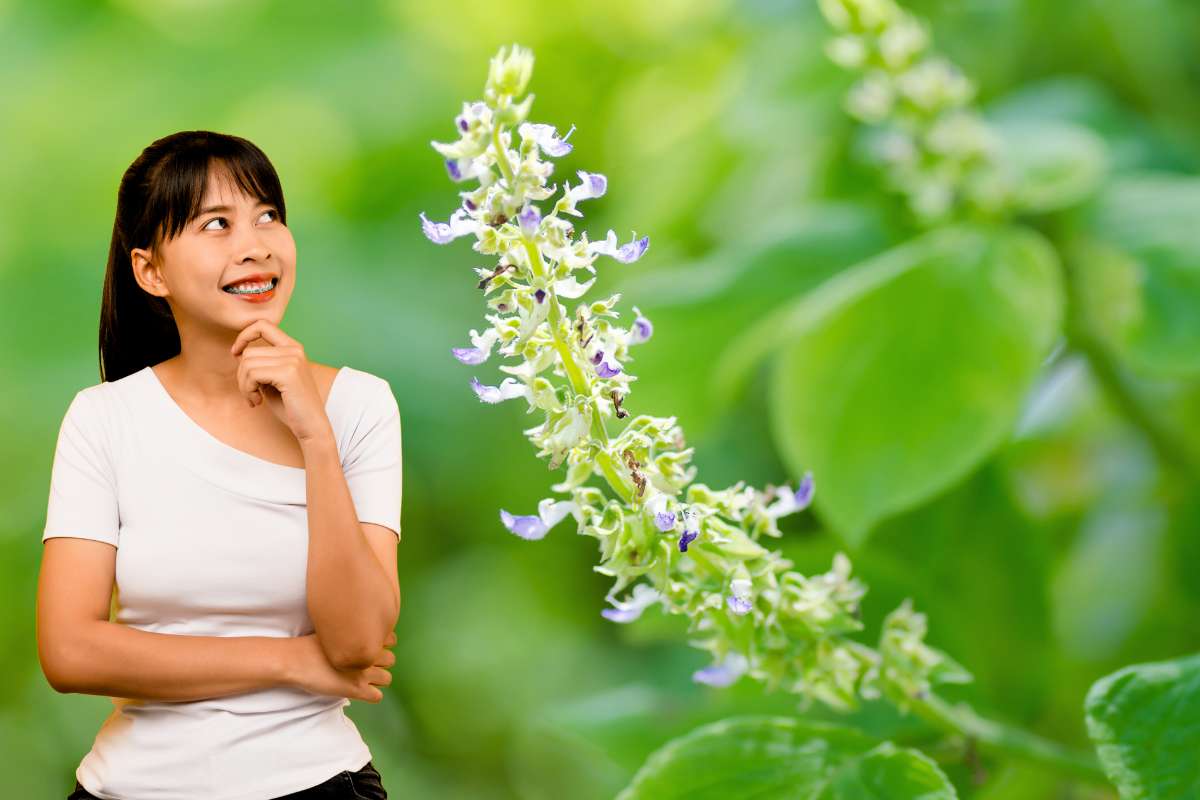 ragazza fiori di basilico