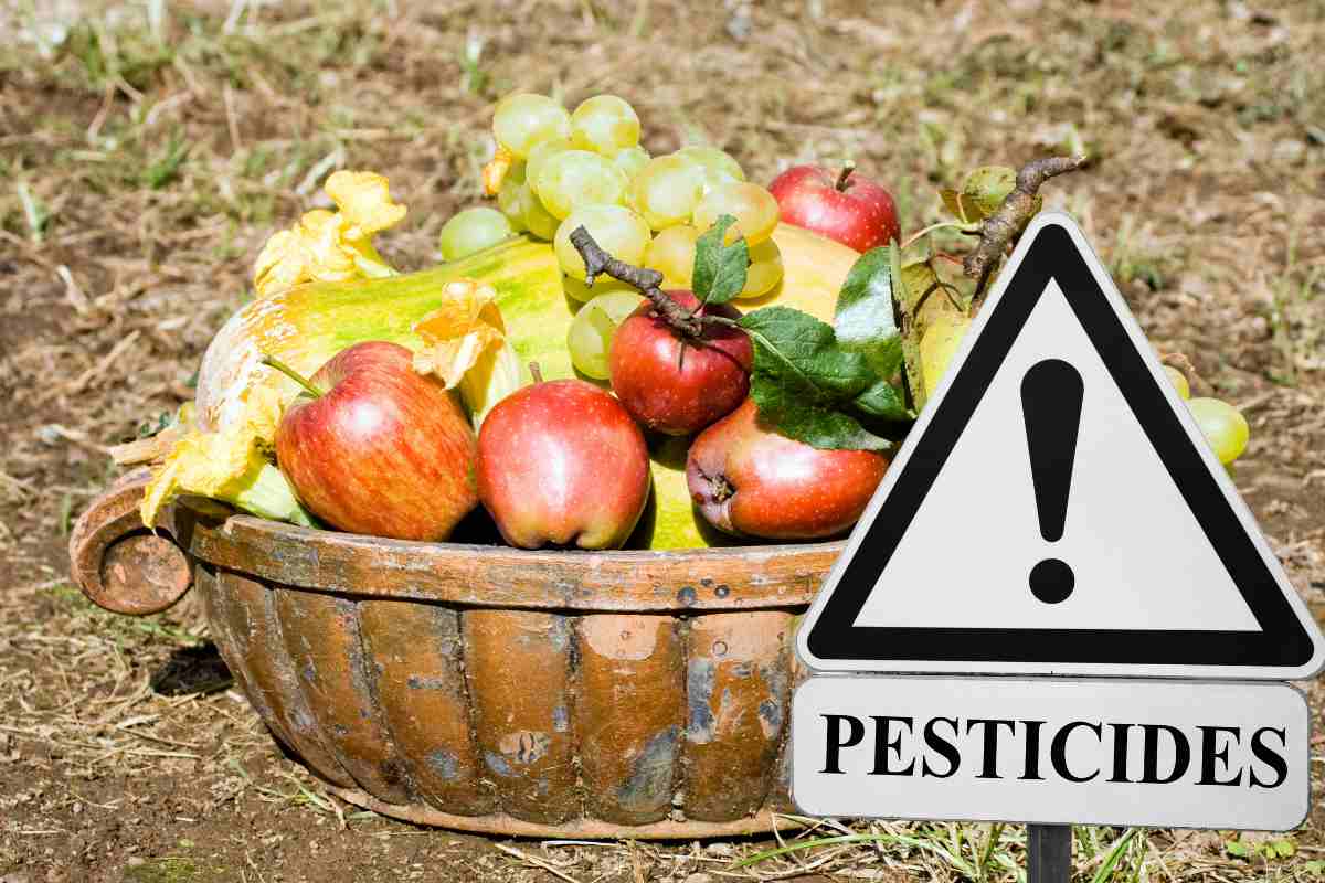 Attenzione alla frutta che compri al supermercato: queste 3 amatissime sono piene di pesticidi