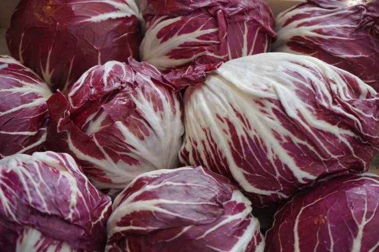 radicchio