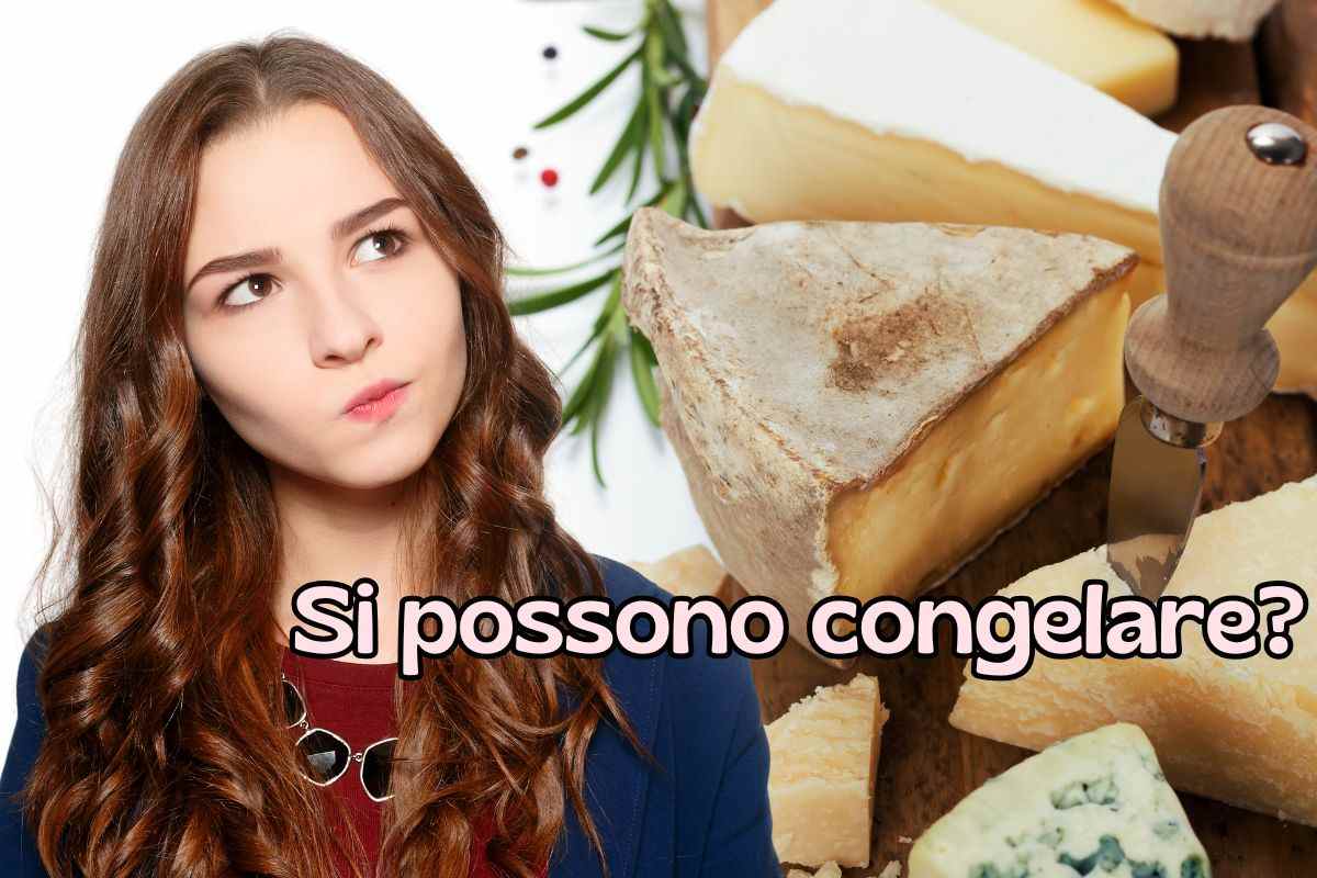 Si possono congelare i formaggi? La domanda sembra scontata, ma non lo è affatto: forse dovresti saperlo