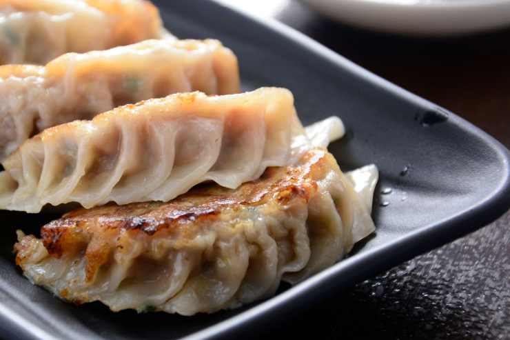 piatto nero con gyoza 