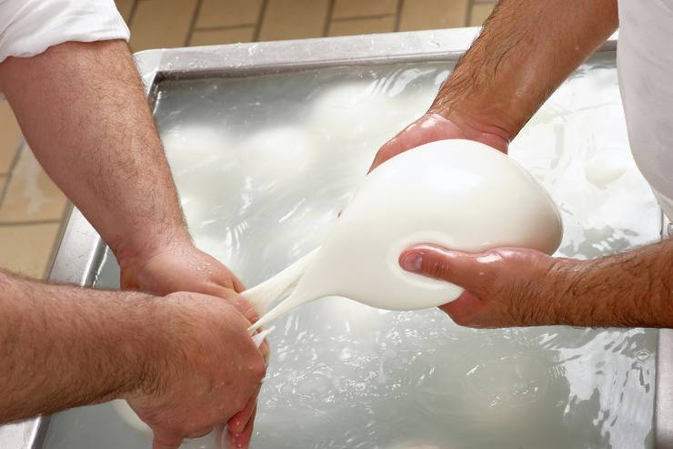 lavorazione mozzarella