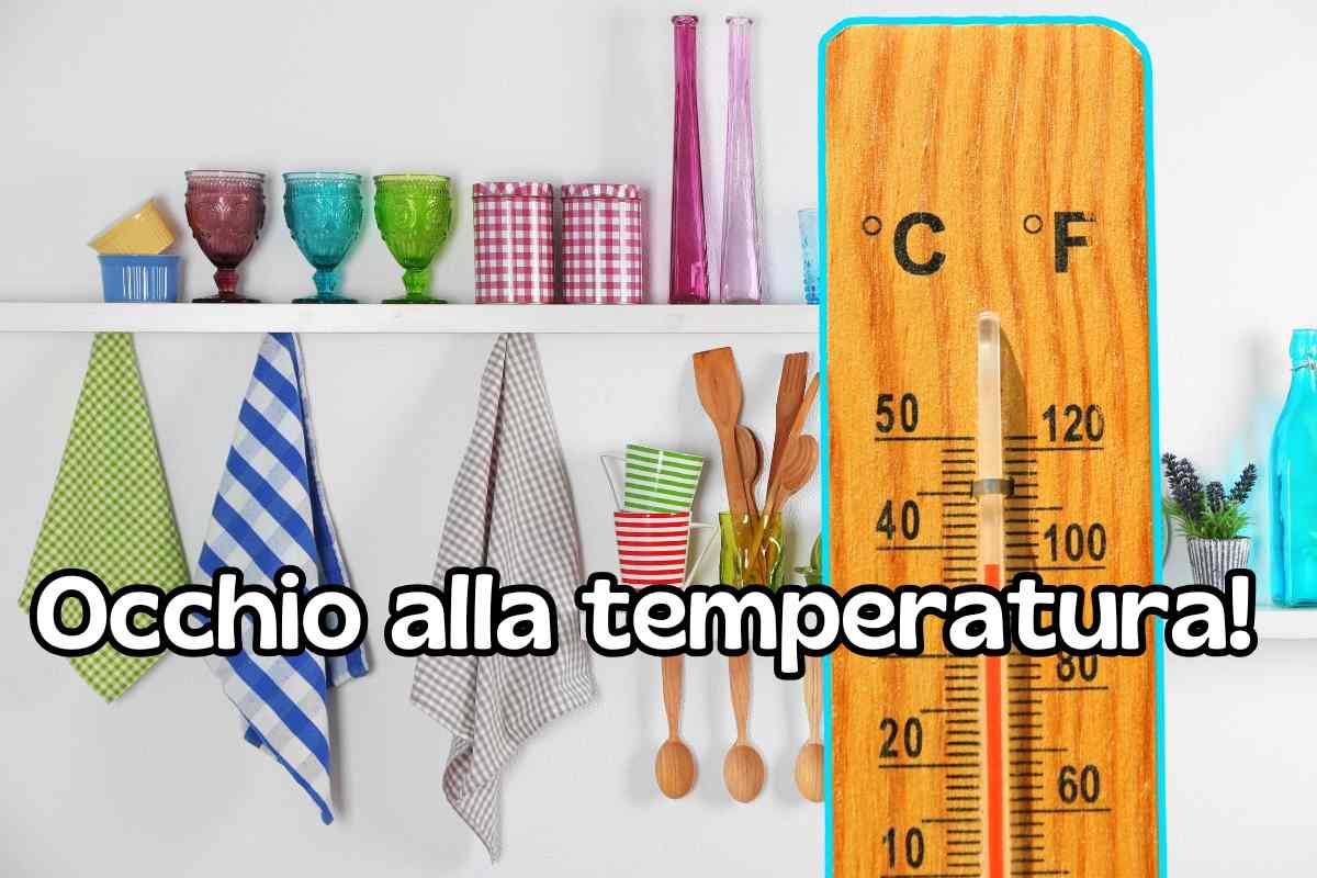 Strofinacci e pezze da cucina, attenzione a come li lavi: solo a questa temperatura per non rischiare contaminazioni di batteri