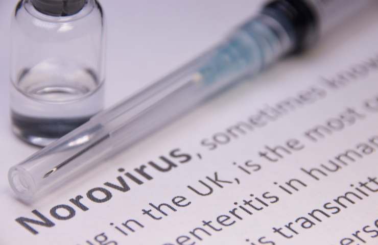 Norovirus