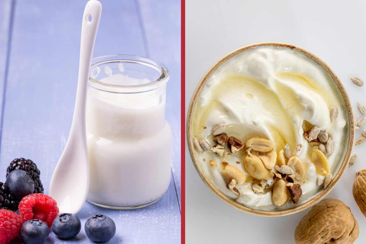 Yogurt bianco e yogurt greco, sono la stessa cosa oppure no?