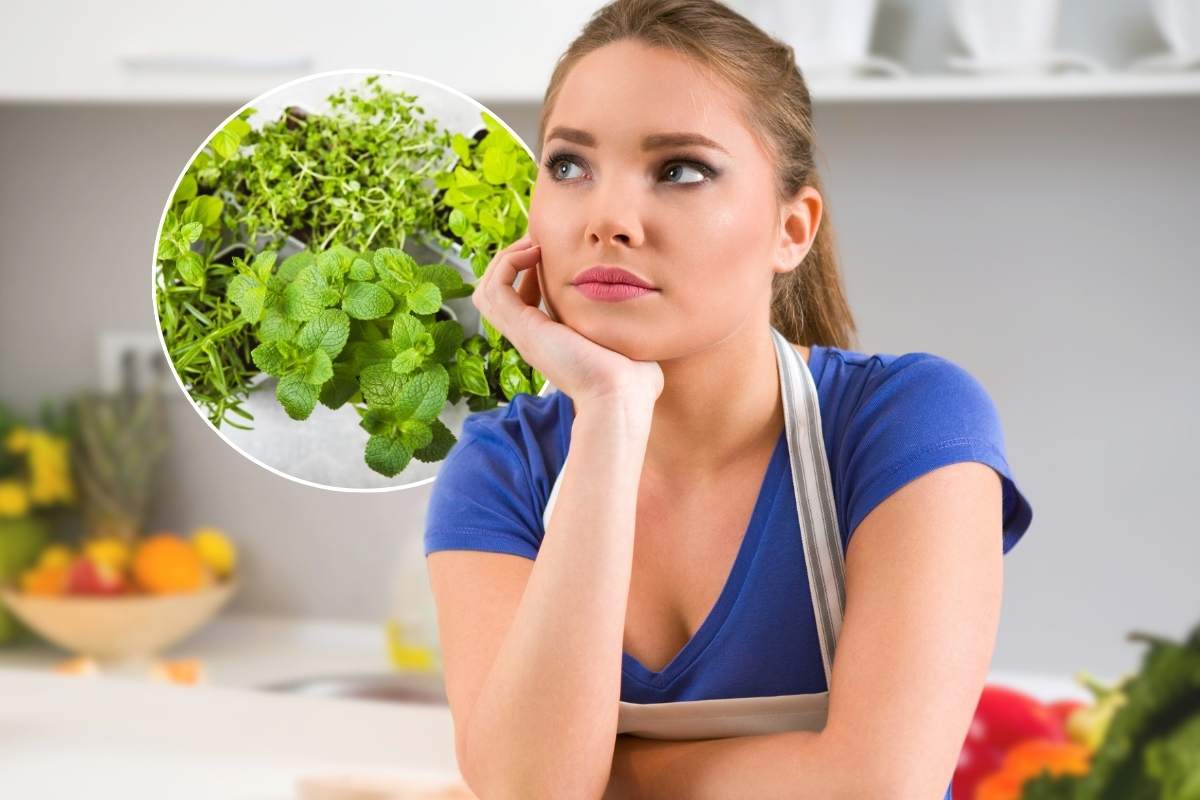 Ragazza pensierosa in cucina ed erbe aromatiche in un riquadro